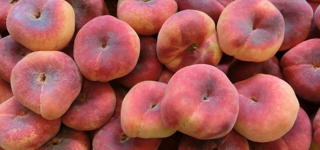 découvrez le monde des produits biologiques : des aliments sains, durables et respectueux de l'environnement. adoptez un mode de vie éthique et savourez des saveurs authentiques grâce à notre sélection de produits organiques.